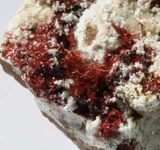 Cuprite (Chalcotrichite) Tsumeb Mine B-TSB229