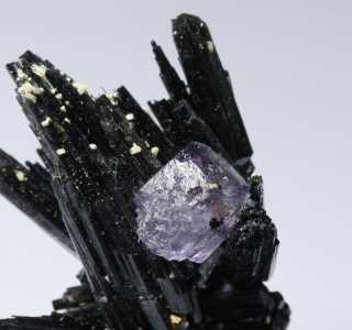 Fluorite Erongo Mountains G-ENI250